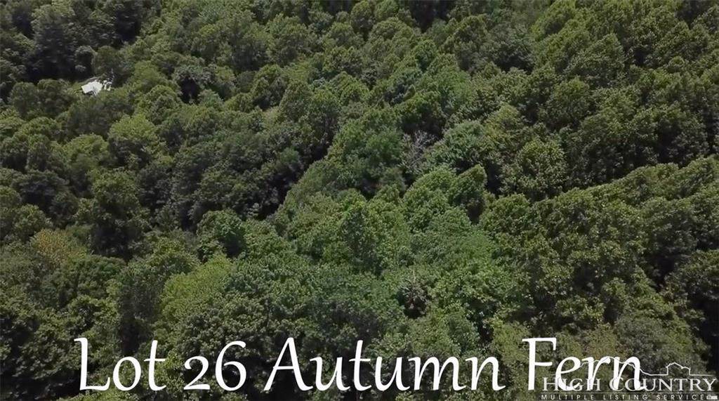 TBD Autumn Fern Court - Photo 1