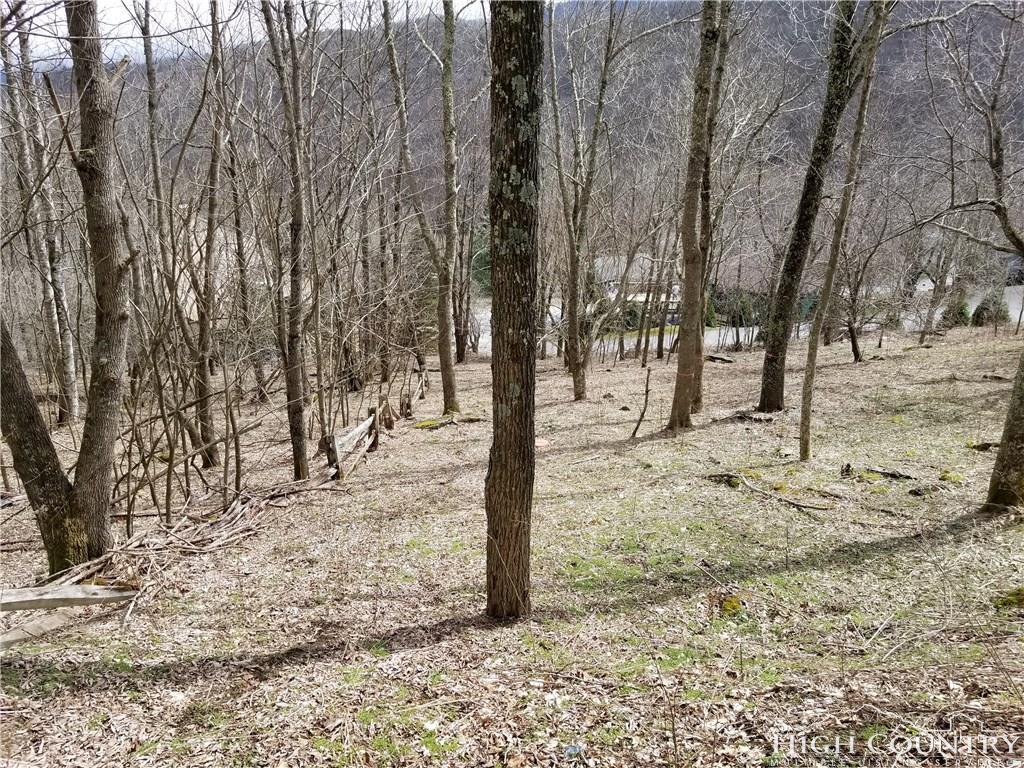 Lot 3 Skiview Road - Photo 1