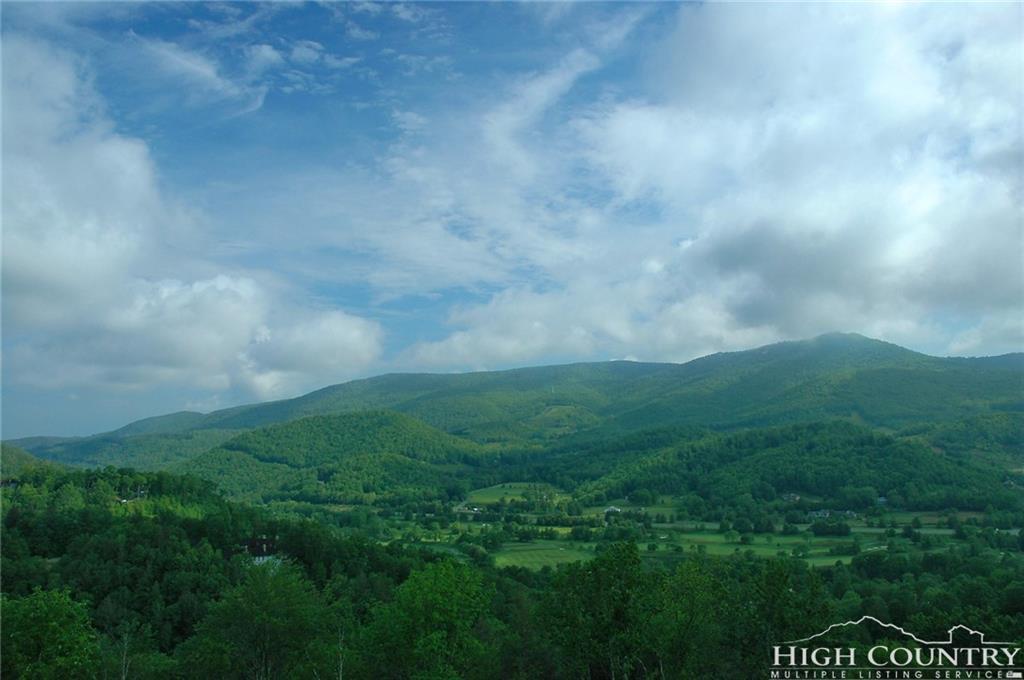508 Woodthrush Way - Photo 1