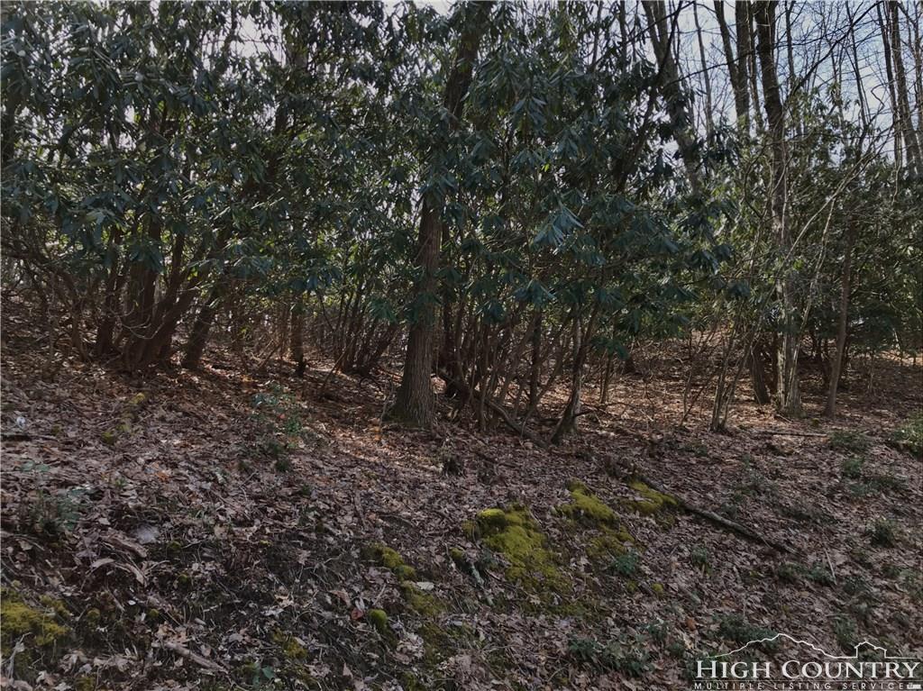 266 Poplar Drive - Photo 1