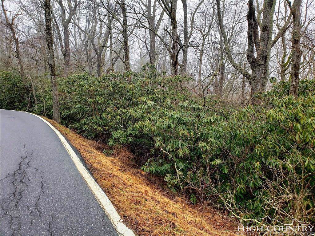 Lot 129 Cone Road - Photo 1