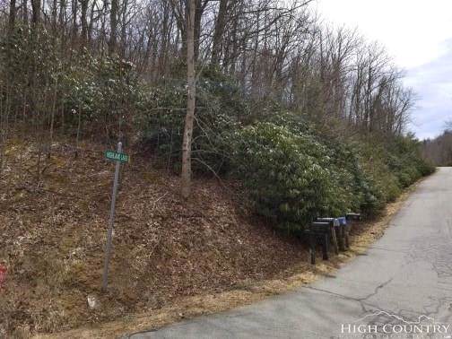 Lots 23 & 24 Highland Lakes Road - Photo 1