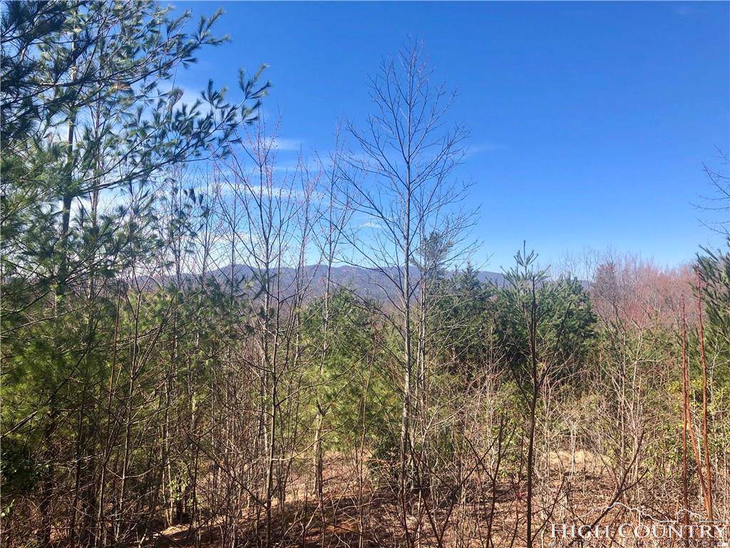 TBD Hidden Creek Road - Photo 1