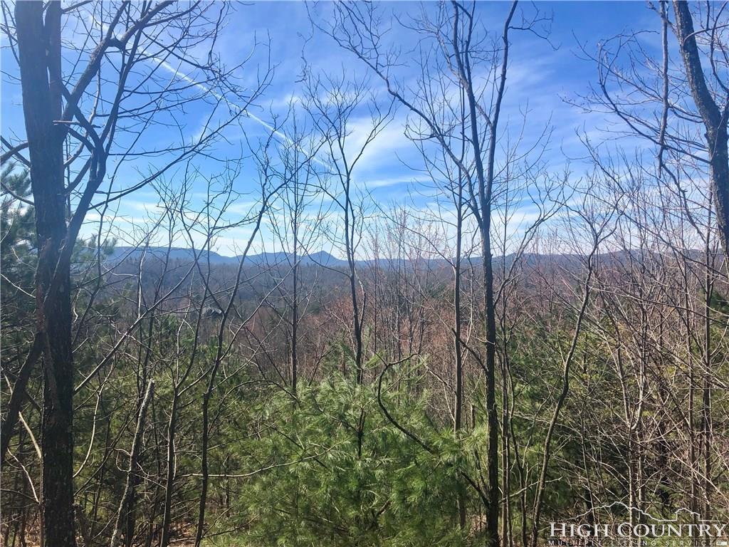 TBD Hidden Creek Road - Photo 1