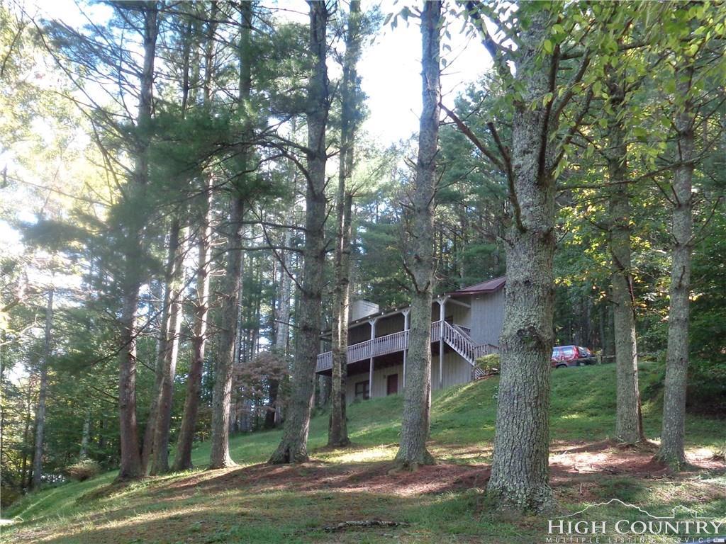 217 White Pine Trail - Photo 1