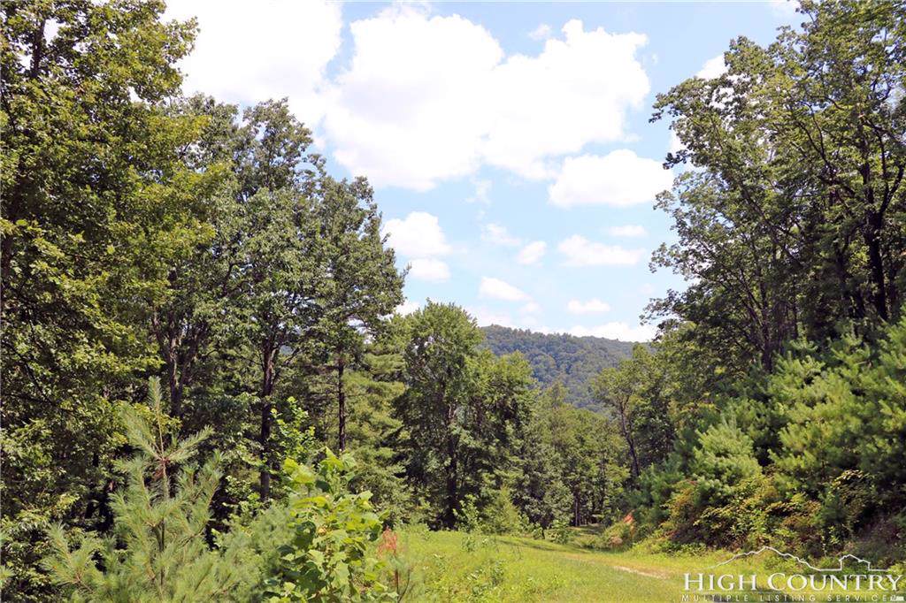 TBD Rapids Run - Photo 1