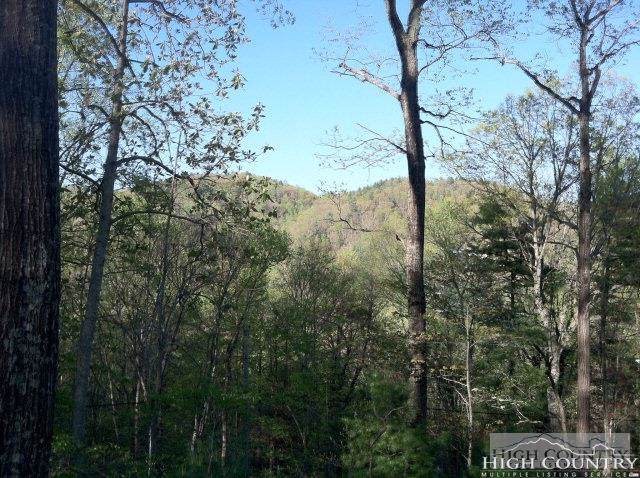 Tbd Grousemoor Road - Photo 1