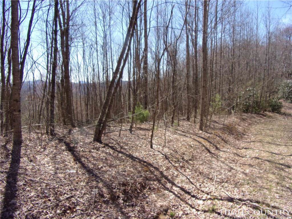 TBD Lot # 5 Fairview Church Road - Photo 1