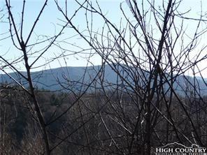 Lot 79 Bear Creek Lane - Photo 1