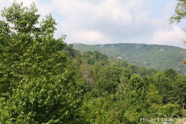 Tract 5 Elk View Lane - Photo 1