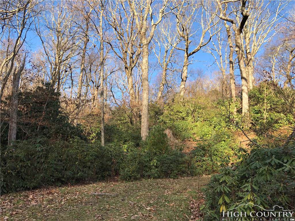 Lot 1 Tanawha Parkway - Photo 1