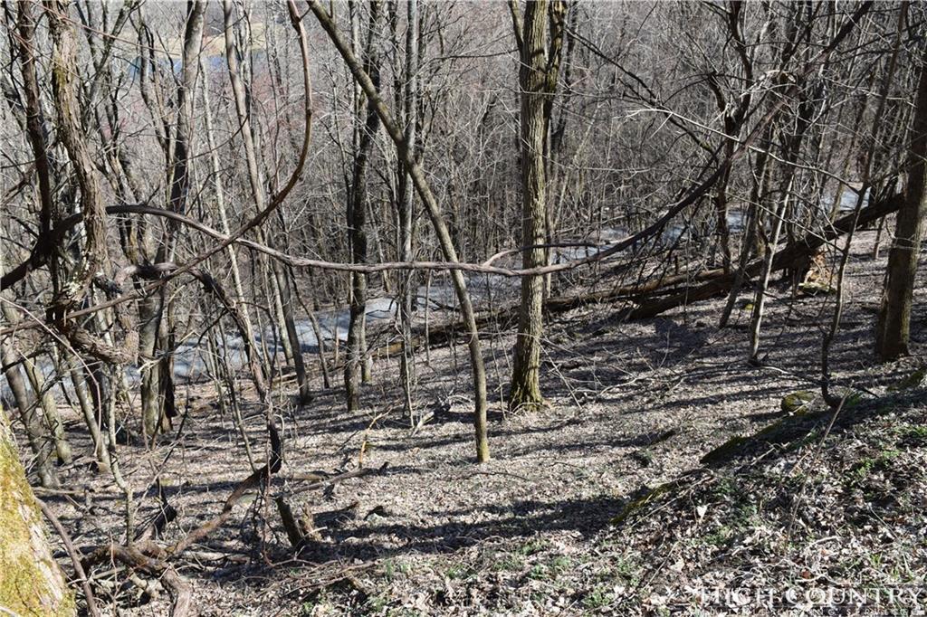 Lot 21 Alpine Drive - Photo 1