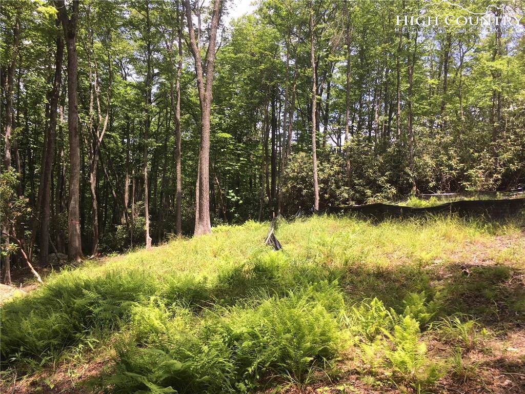 Lot 28 Twin Branches Road - Photo 1