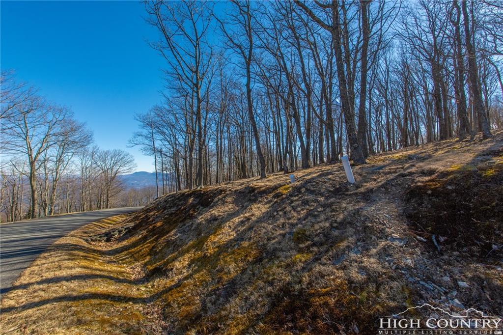 Lot 48 Rocky Parkway - Photo 1