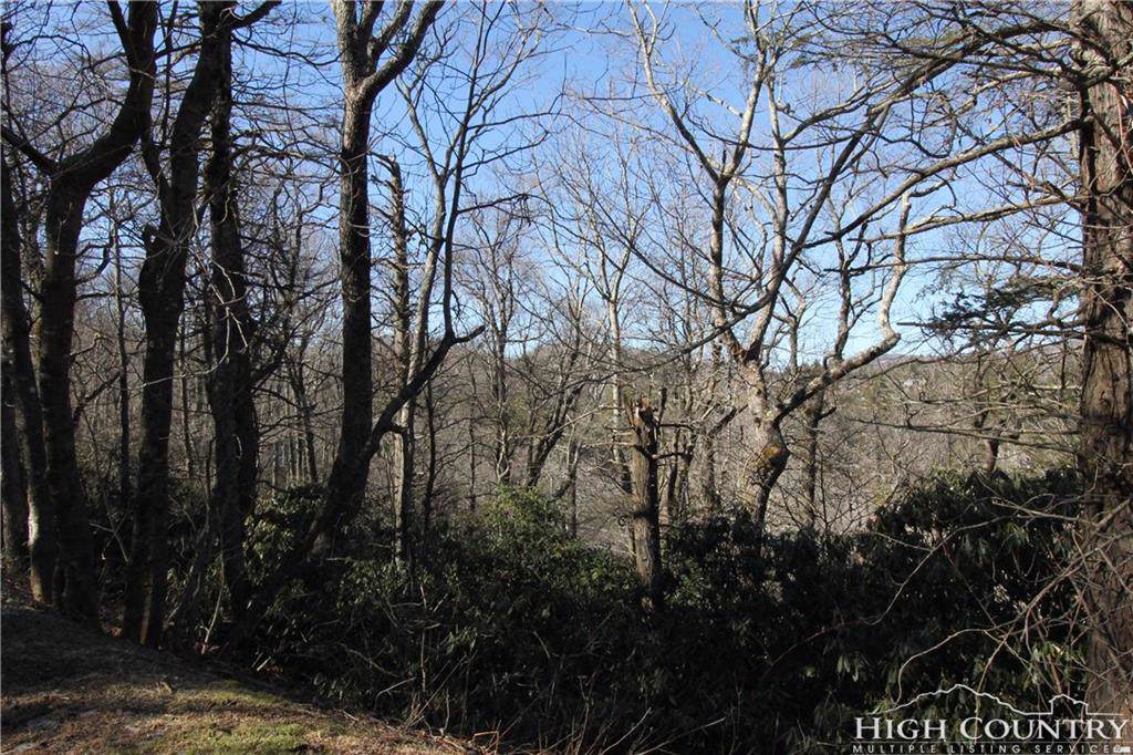 Lot #2 Pinnacle Drive - Photo 1
