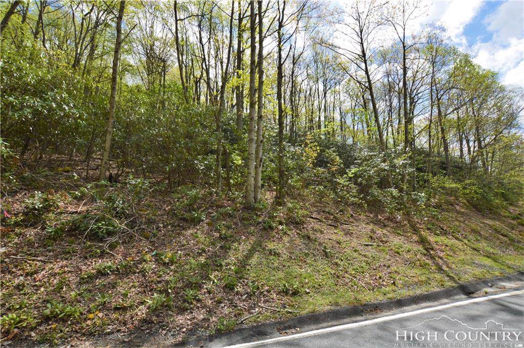 1021 Pine Ridge Road - Photo 1