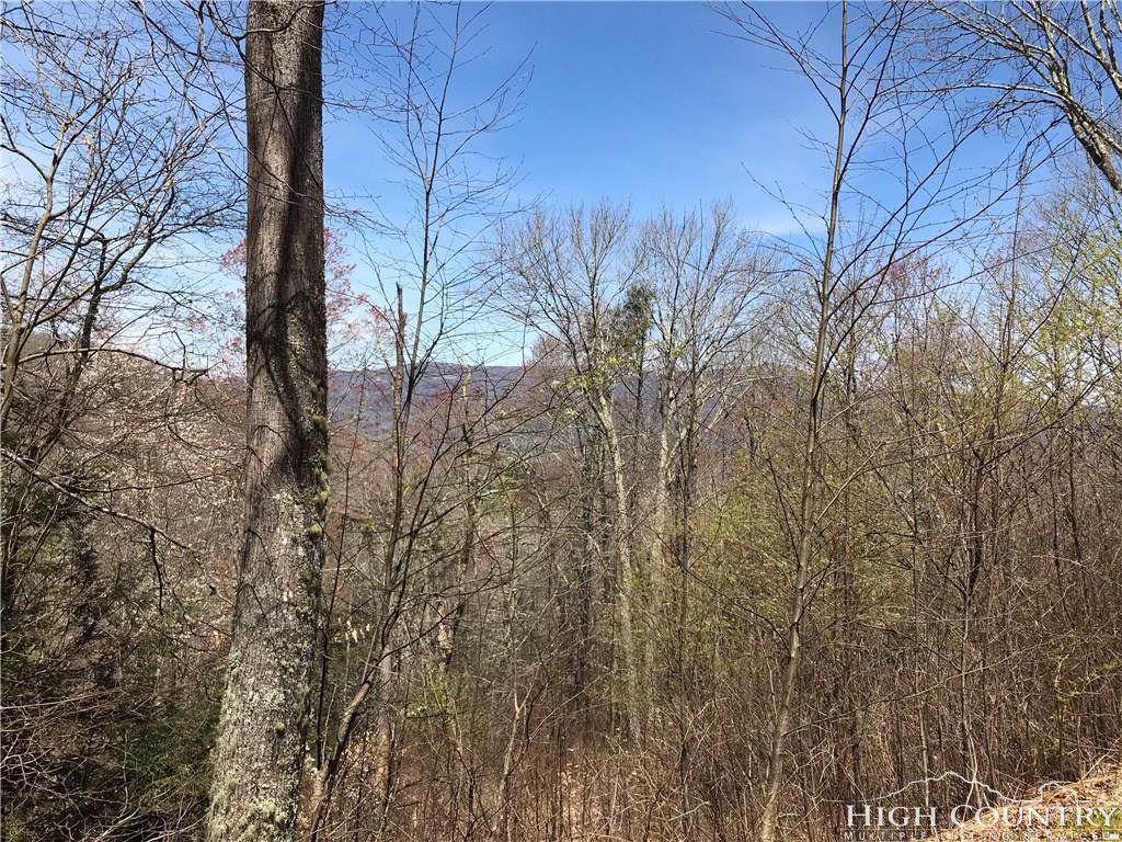 TBD Sugar Ridge Lane - Photo 1