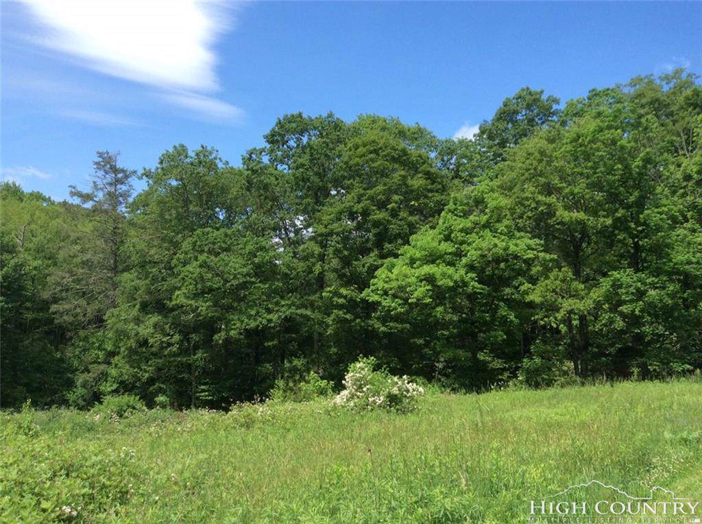 Lot 141 Timber Rock Road - Photo 1