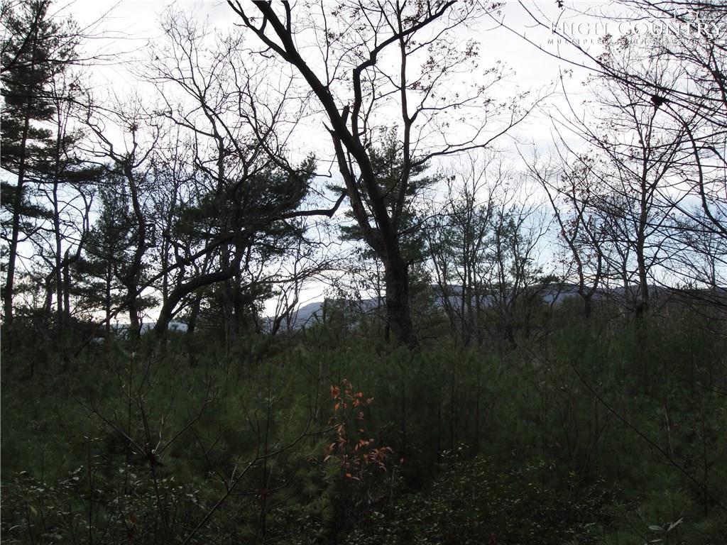 Lot 161 Staghorn Road - Photo 1