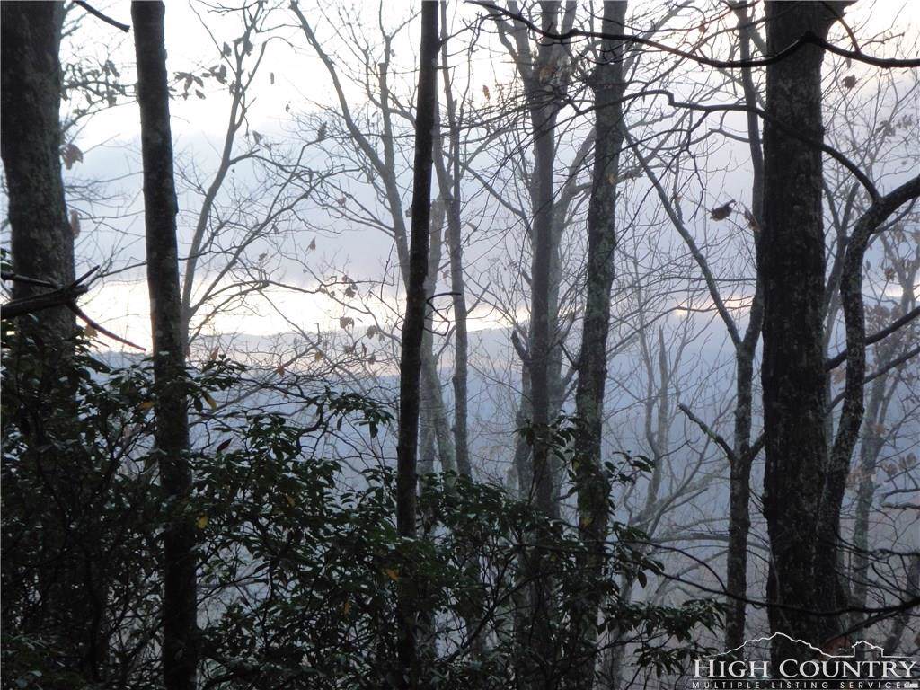 Lot 215 Casey Mountain Road - Photo 1