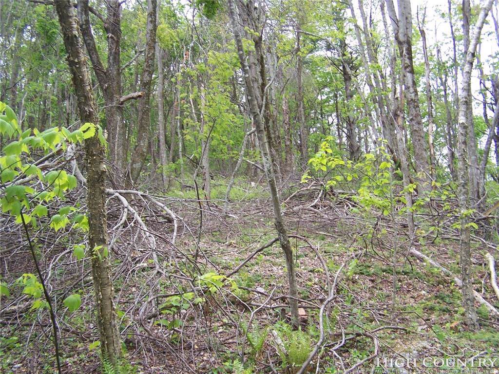 tract 11 Wyeth Drive - Photo 1