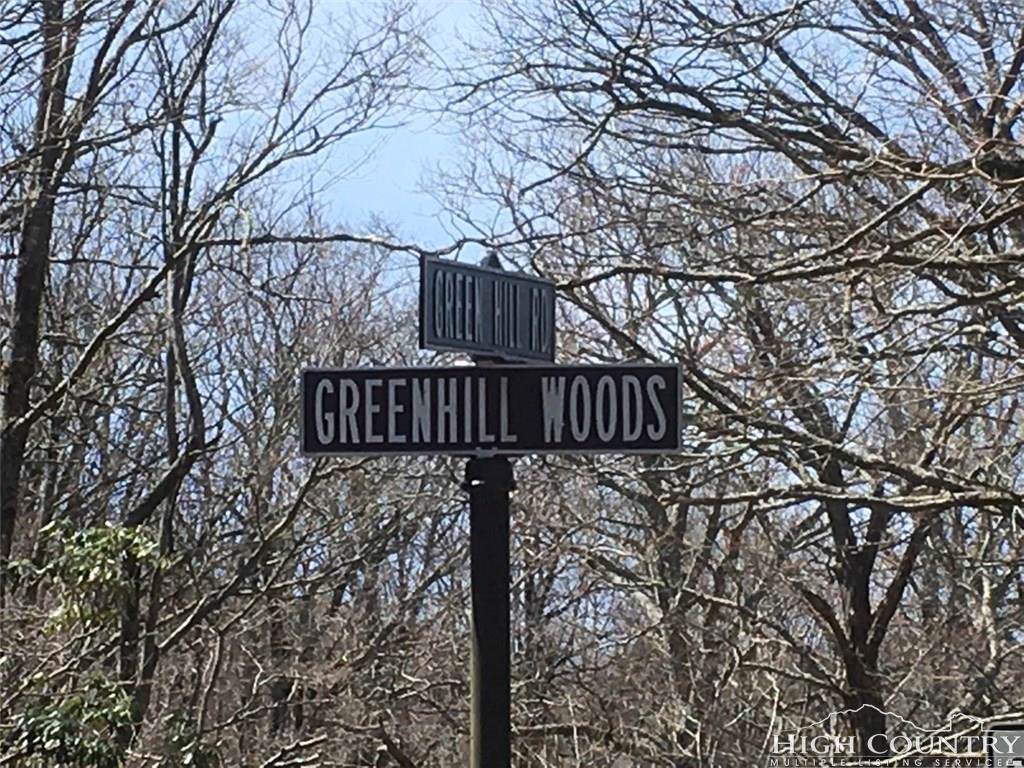Lot 21 Green Hill Woods - Photo 1
