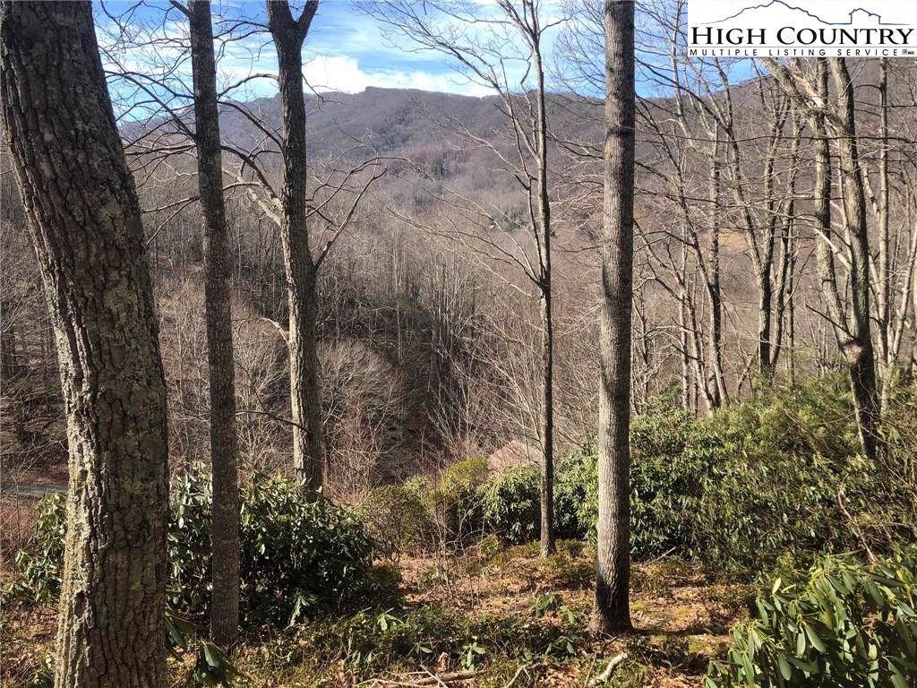 TBD Shook Road - Photo 1