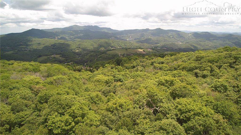 TBD Elderberry Ridge Road - Photo 1