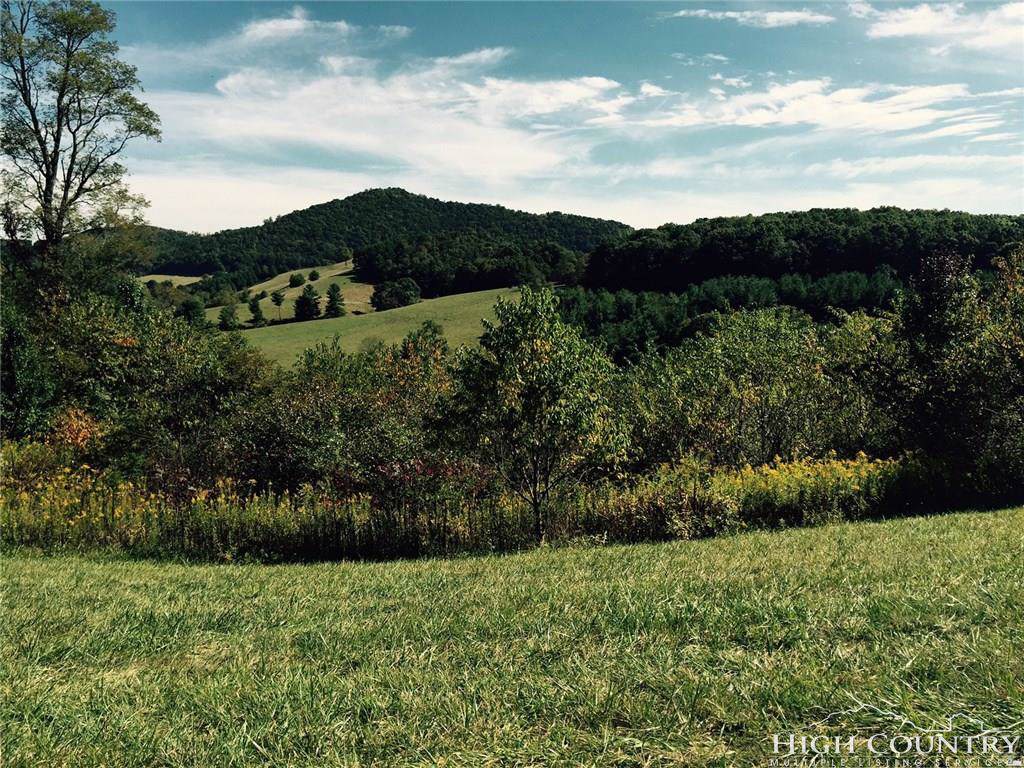 Lot 10 Landing Ridge Circle - Photo 1
