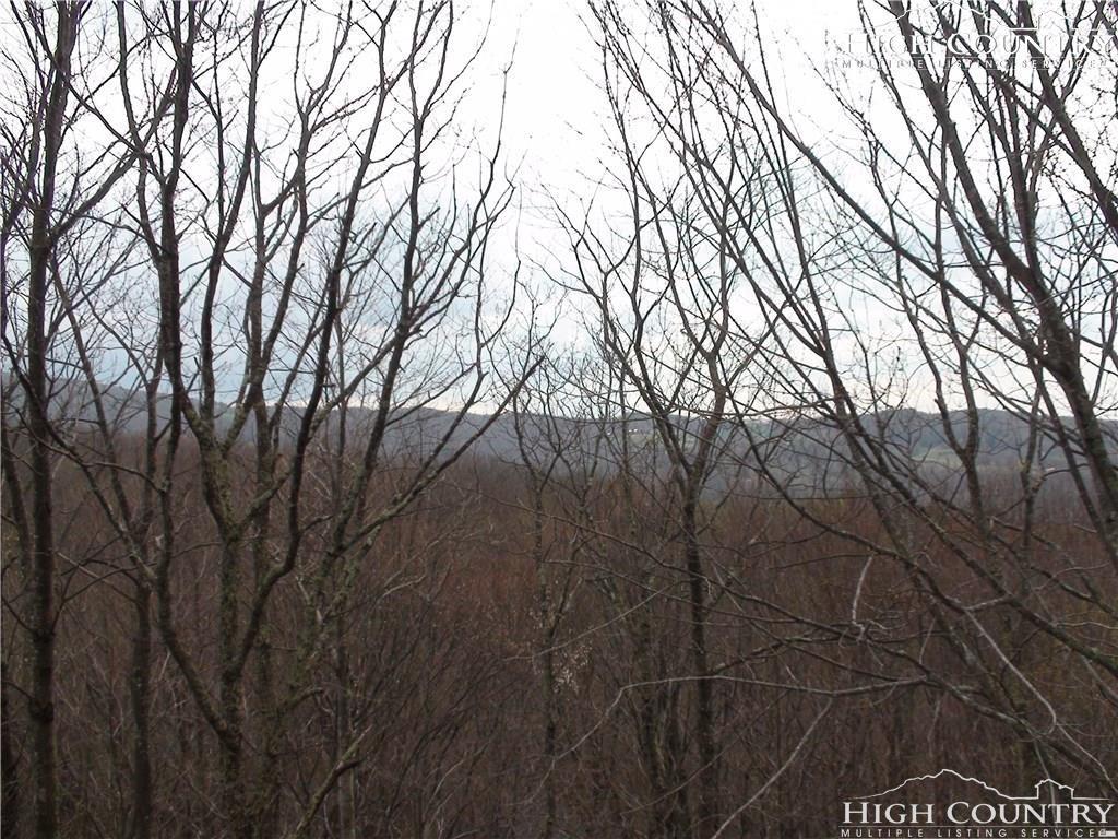 502 Saint Andrews Road - Photo 1