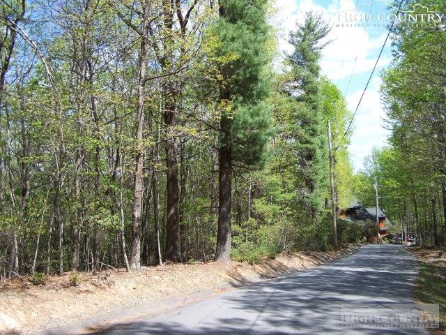 Tbd Laurel Circle - Photo 1