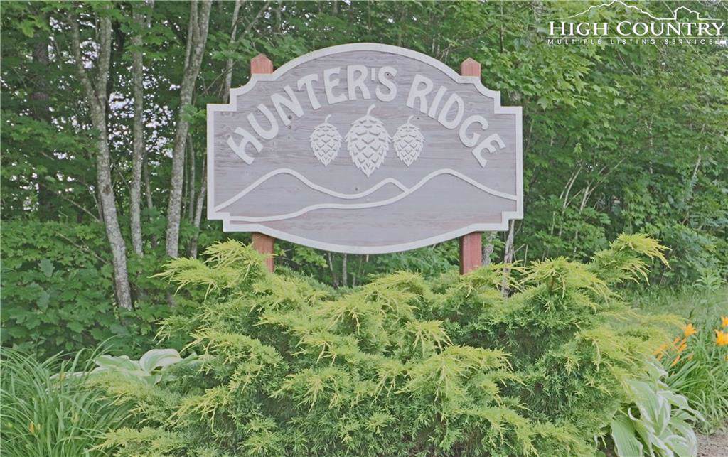 TBD Nettles Ridge #36R Road - Photo 1