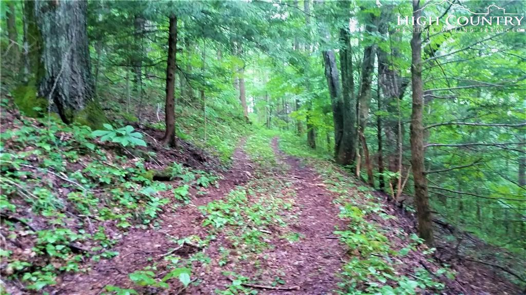 TBD John Erwin Road - Photo 1