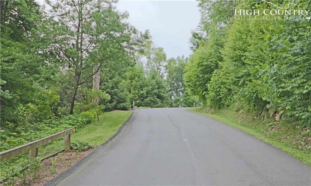 TBD Nettles Ridge #45 Road - Photo 1