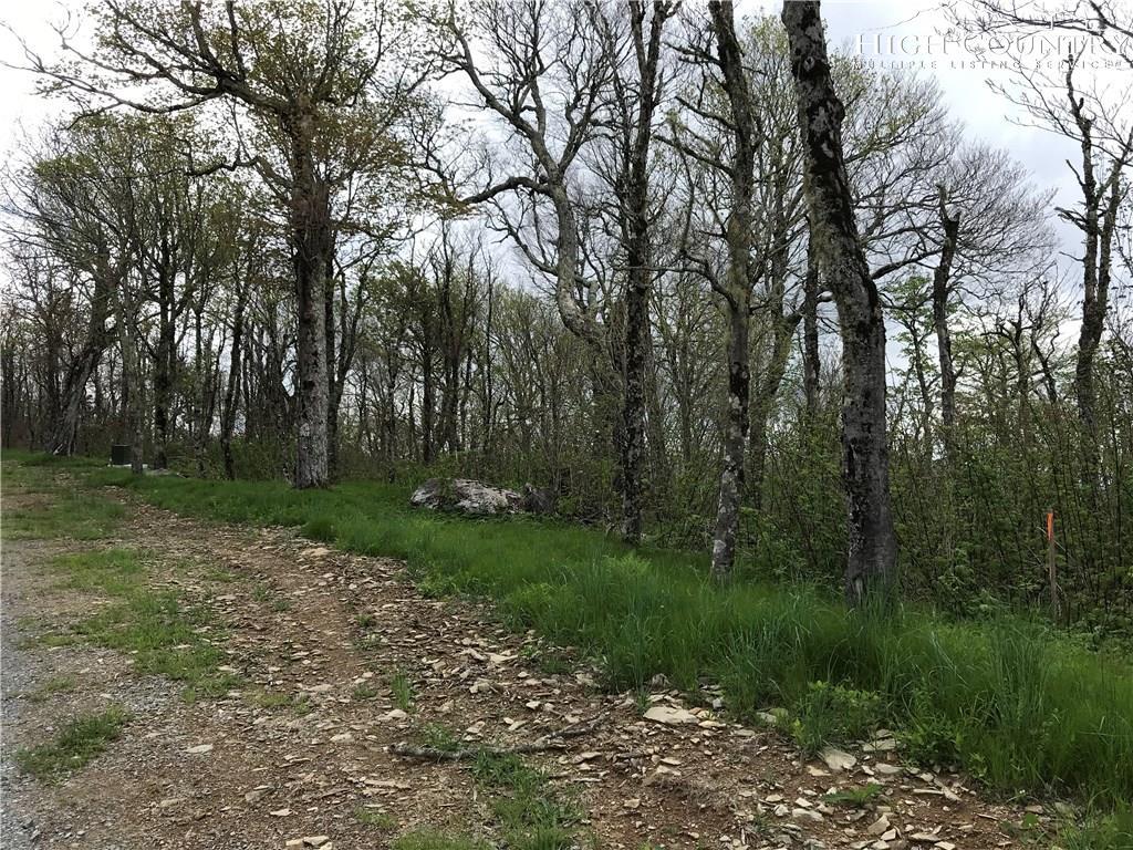Lot 70 Green Cliffs Road - Photo 1