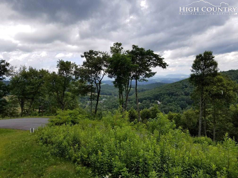 Lot 28 Antler Trail - Photo 1