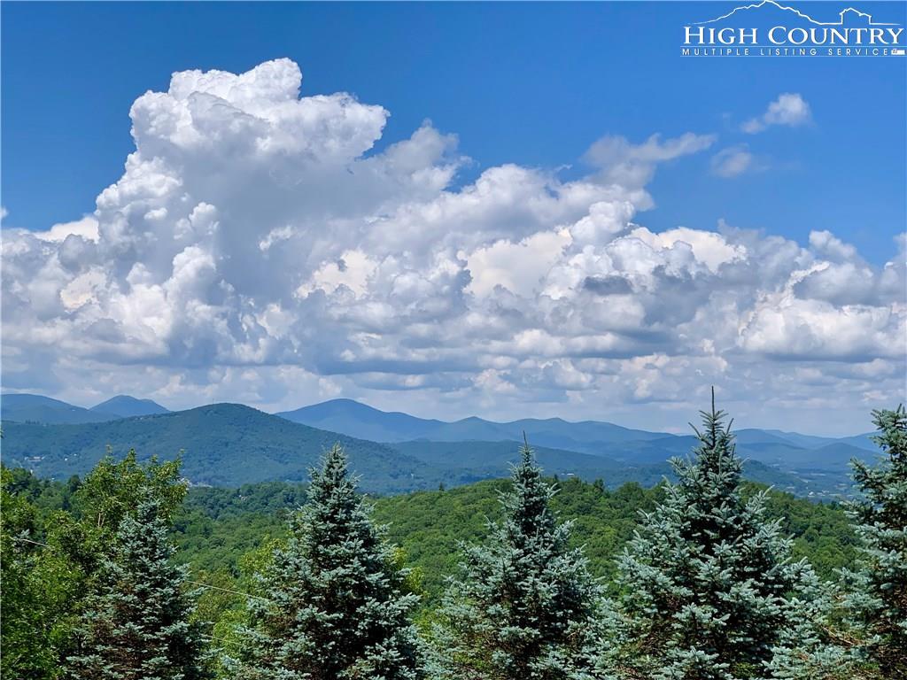 150 Chipmunk Lane - Photo 1