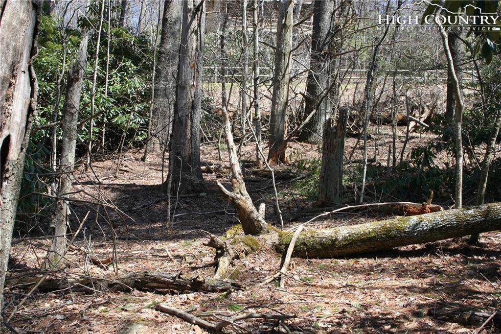 Lot 3 Morningstar - Photo 1
