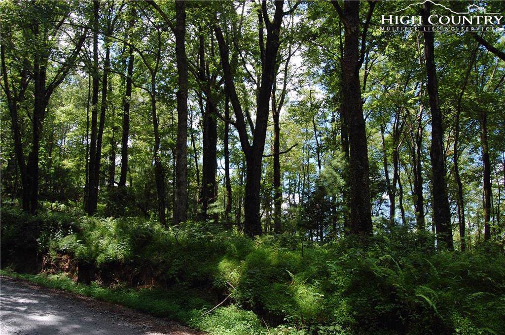 TBD Brown Road - Photo 1