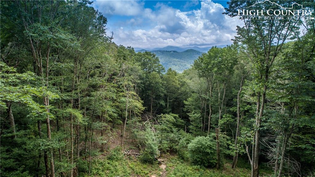 389 Lodge Woods Trail - Photo 1