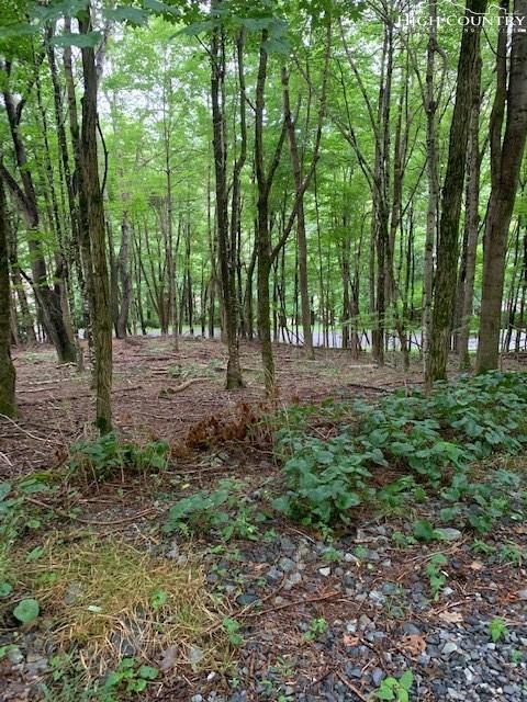 TBD Devils Lake Drive - Photo 1