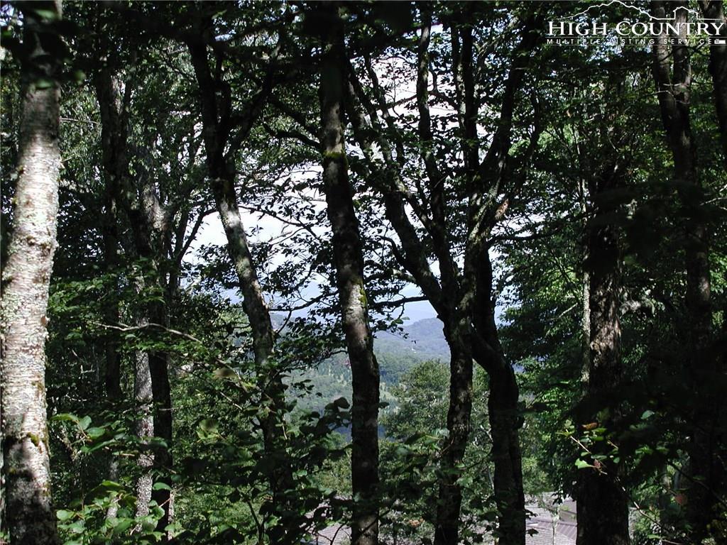 Lot 90 Moss Rock Lane - Photo 1