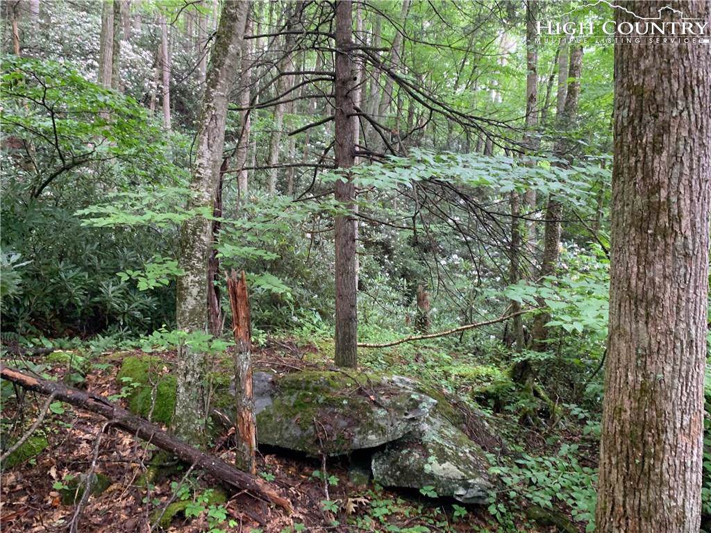 Lot 2 Devils Den Rd. - Photo 1