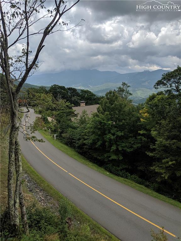 30 Lodge Ridge Trail - Photo 1