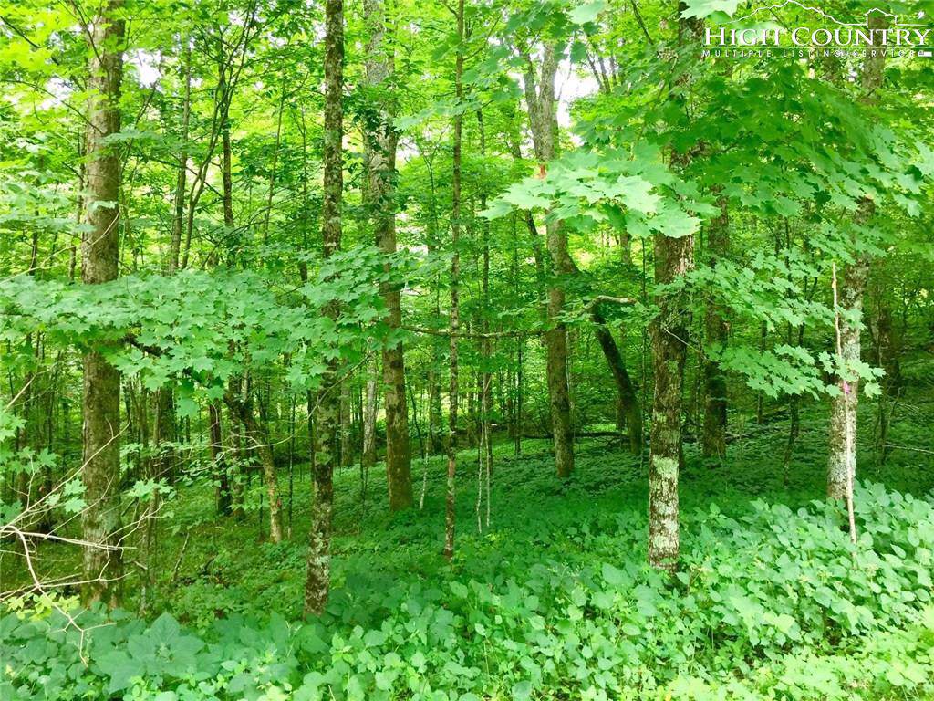 Lot 107 Rock Spring Circle - Photo 1