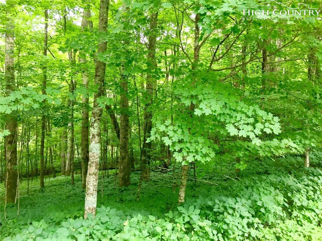 Lot 107 Rock Spring Circle - Photo 1