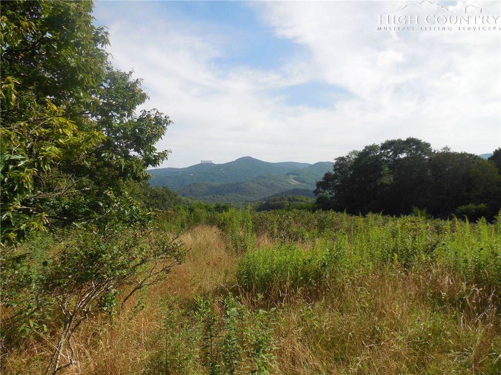 TBD Beech Mountain Parkway - Photo 1