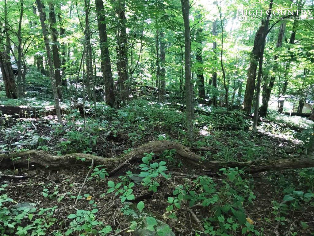 Lot #7, Sec #7 Thorncliff Drive - Photo 1