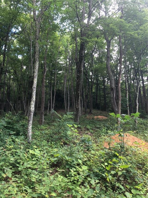 C55 Eagles Nest Trail - Photo 1