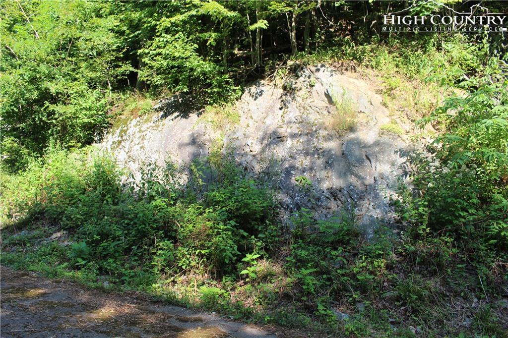 Lot 10 Ridge @ Hawks Peak Trail - Photo 1